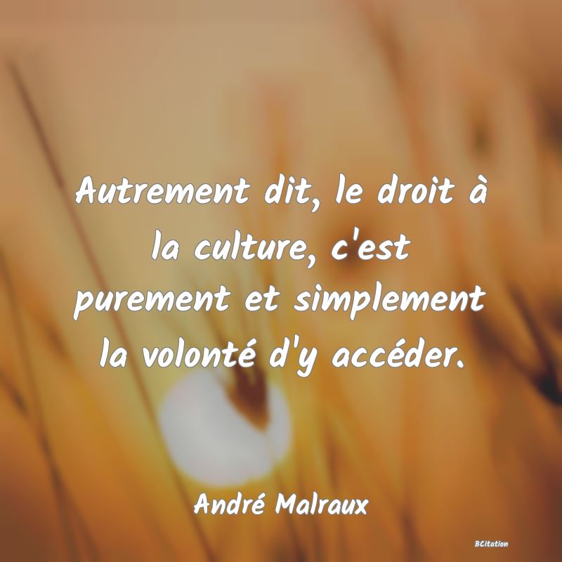 image de citation: Autrement dit, le droit à la culture, c'est purement et simplement la volonté d'y accéder.