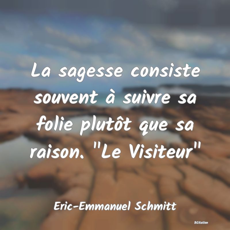 image de citation: La sagesse consiste souvent à suivre sa folie plutôt que sa raison.  Le Visiteur 