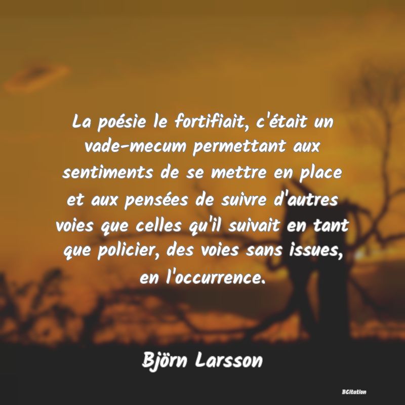 image de citation: La poésie le fortifiait, c'était un vade-mecum permettant aux sentiments de se mettre en place et aux pensées de suivre d'autres voies que celles qu'il suivait en tant que policier, des voies sans issues, en l'occurrence.