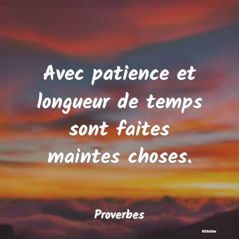 Belle Citation - Avec patience et longueur de temps sont faites maintes choses. - Proverbes