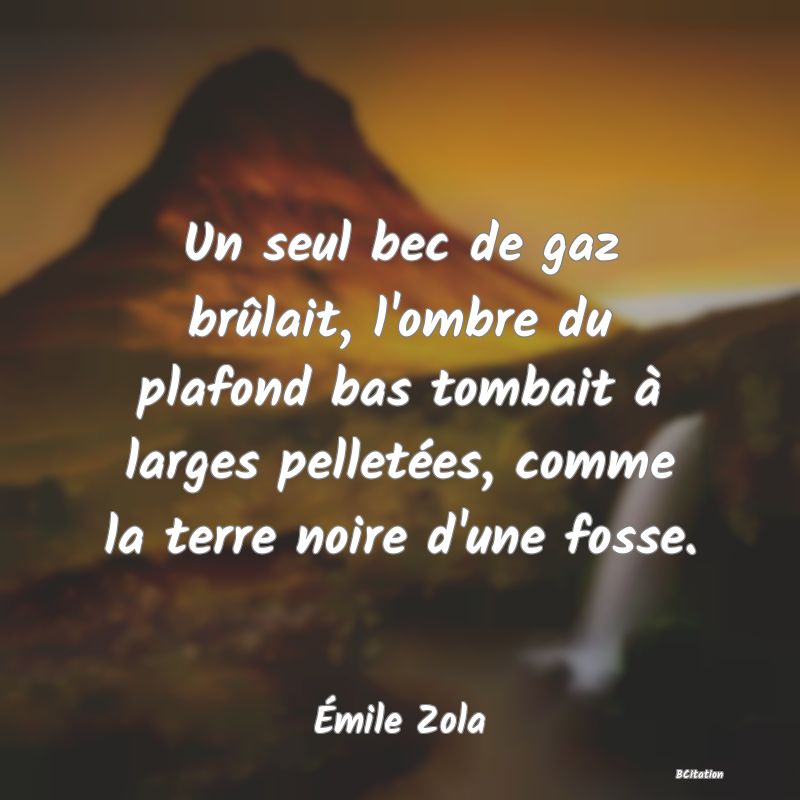 image de citation: Un seul bec de gaz brûlait, l'ombre du plafond bas tombait à larges pelletées, comme la terre noire d'une fosse.