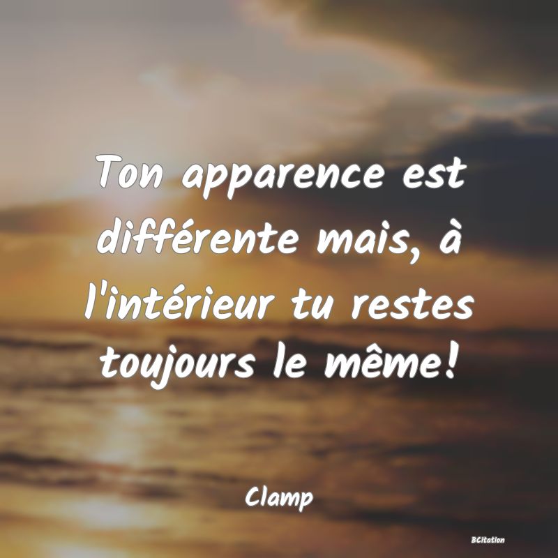 Belle Citation - Ton apparence est différente mais, à l'intérieur tu restes toujours le même! - Clamp