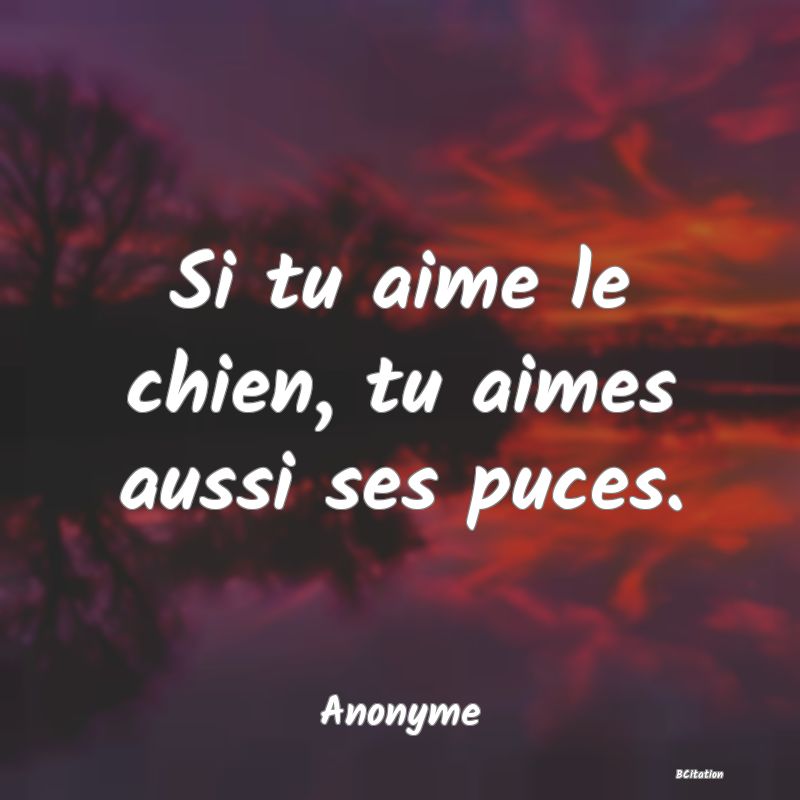 image de citation: Si tu aime le chien, tu aimes aussi ses puces.