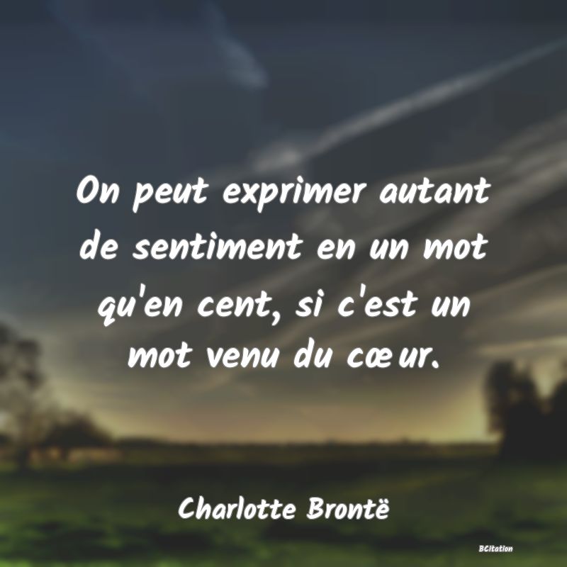 image de citation: On peut exprimer autant de sentiment en un mot qu'en cent, si c'est un mot venu du cœur.