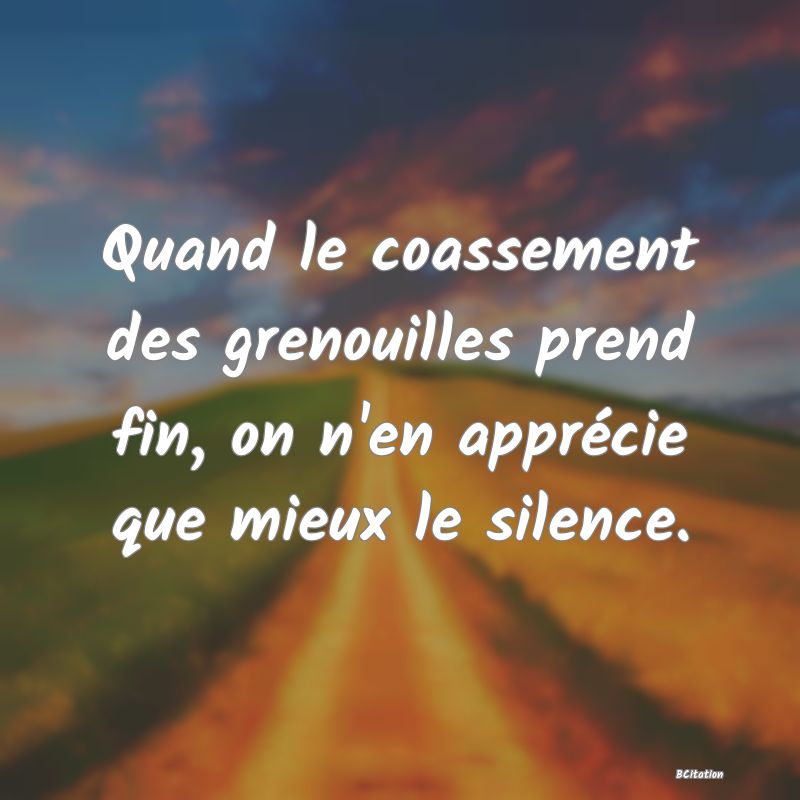 Belle Citation - Quand le coassement des grenouilles prend fin, on n'en apprécie que mieux le silence. - 
