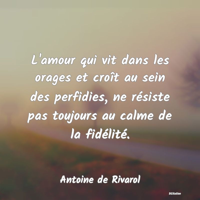 image de citation: L'amour qui vit dans les orages et croît au sein des perfidies, ne résiste pas toujours au calme de la fidélité.