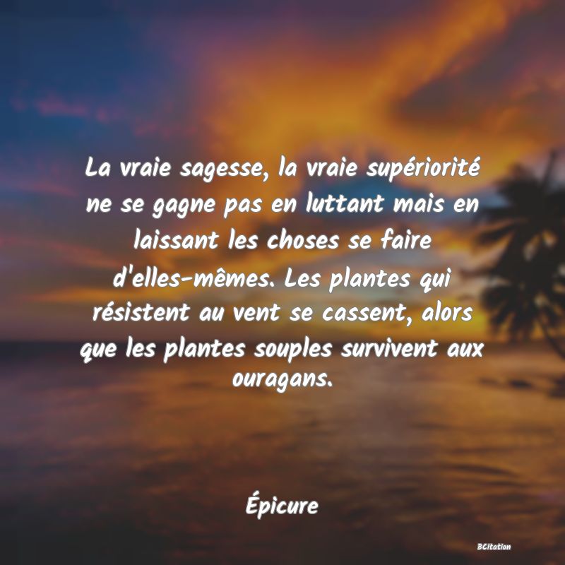 Belle Citation - La vraie sagesse, la vraie supériorité ne se gagne pas en luttant mais en laissant les choses se faire d'elles-mêmes. Les plantes qui résistent au vent se cassent, alors que les plantes souples survivent aux ouragans. - Épicure