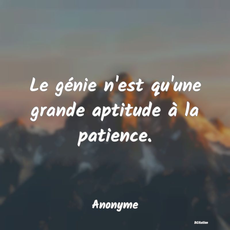 image de citation: Le génie n'est qu'une grande aptitude à la patience.