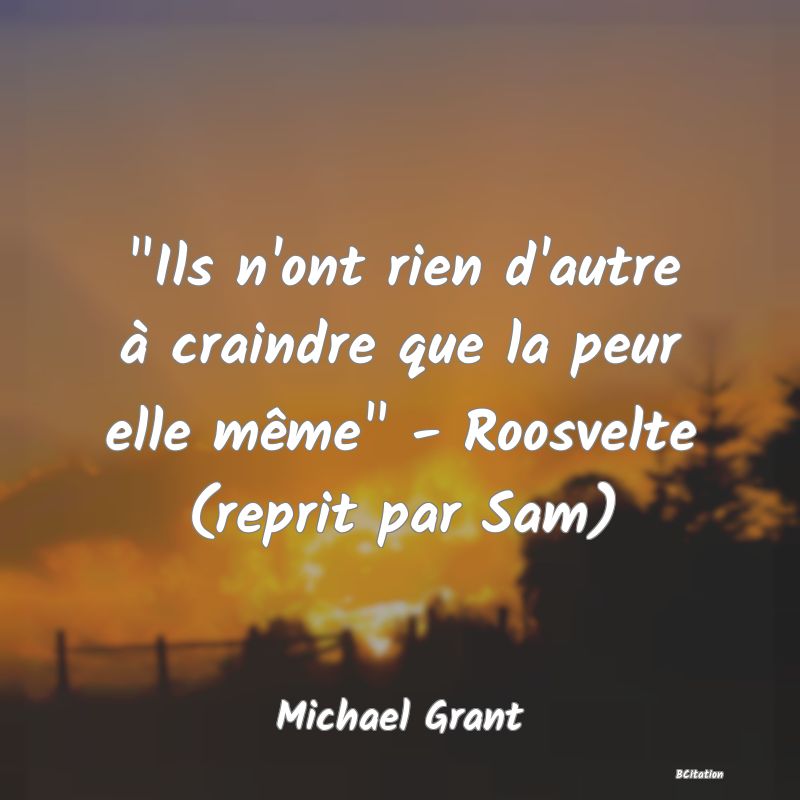 image de citation:  Ils n'ont rien d'autre à craindre que la peur elle même  - Roosvelte (reprit par Sam)