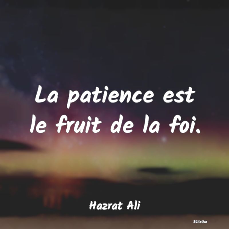 image de citation: La patience est le fruit de la foi.