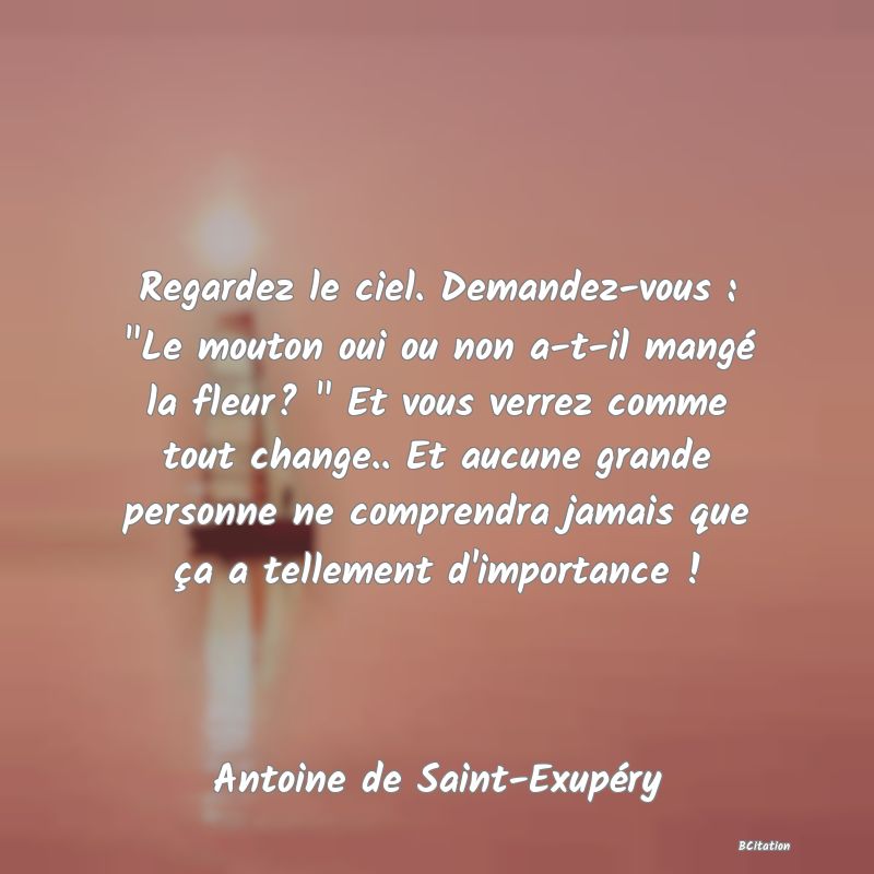 image de citation: Regardez le ciel. Demandez-vous :  Le mouton oui ou non a-t-il mangé la fleur?   Et vous verrez comme tout change.. Et aucune grande personne ne comprendra jamais que ça a tellement d'importance !