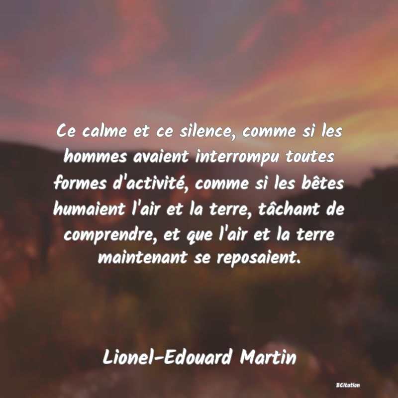 image de citation: Ce calme et ce silence, comme si les hommes avaient interrompu toutes formes d'activité, comme si les bêtes humaient l'air et la terre, tâchant de comprendre, et que l'air et la terre maintenant se reposaient.