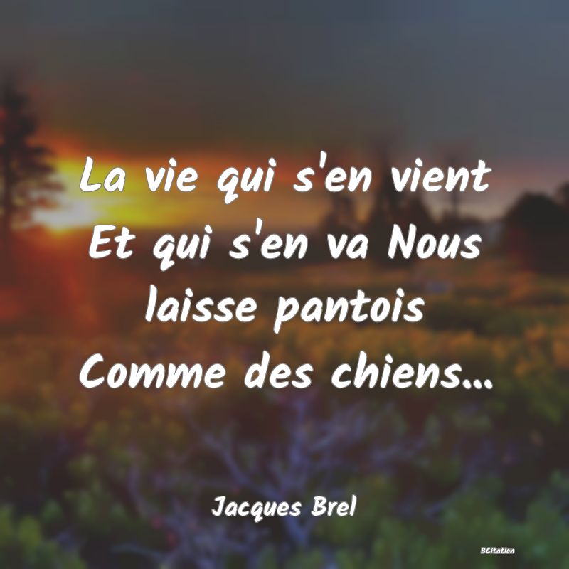 image de citation: La vie qui s'en vient Et qui s'en va Nous laisse pantois Comme des chiens...