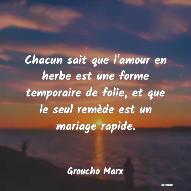 Belle Citation - Chacun sait que l'amour en herbe est une forme temporaire de folie, et que le seul remède est un mariage rapide. - Groucho Marx