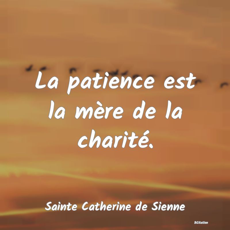 image de citation: La patience est la mère de la charité.