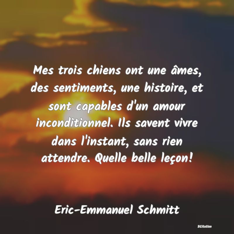 image de citation: Mes trois chiens ont une âmes, des sentiments, une histoire, et sont capables d'un amour inconditionnel. Ils savent vivre dans l'instant, sans rien attendre. Quelle belle leçon!