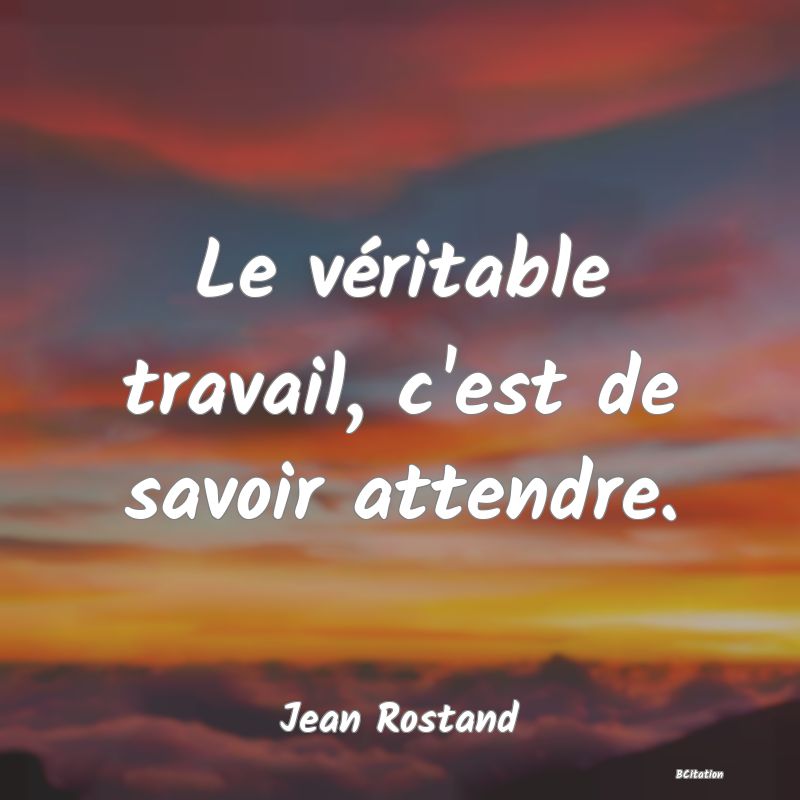 image de citation: Le véritable travail, c'est de savoir attendre.