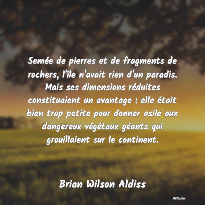 image de citation: Semée de pierres et de fragments de rochers, l'île n'avait rien d'un paradis. Mais ses dimensions réduites constituaient un avantage : elle était bien trop petite pour donner asile aux dangereux végétaux géants qui grouillaient sur le continent.