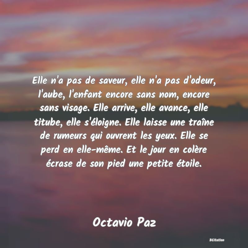 image de citation: Elle n'a pas de saveur, elle n'a pas d'odeur, l'aube, l'enfant encore sans nom, encore sans visage. Elle arrive, elle avance, elle titube, elle s'éloigne. Elle laisse une traîne de rumeurs qui ouvrent les yeux. Elle se perd en elle-même. Et le jour en colère écrase de son pied une petite étoile.