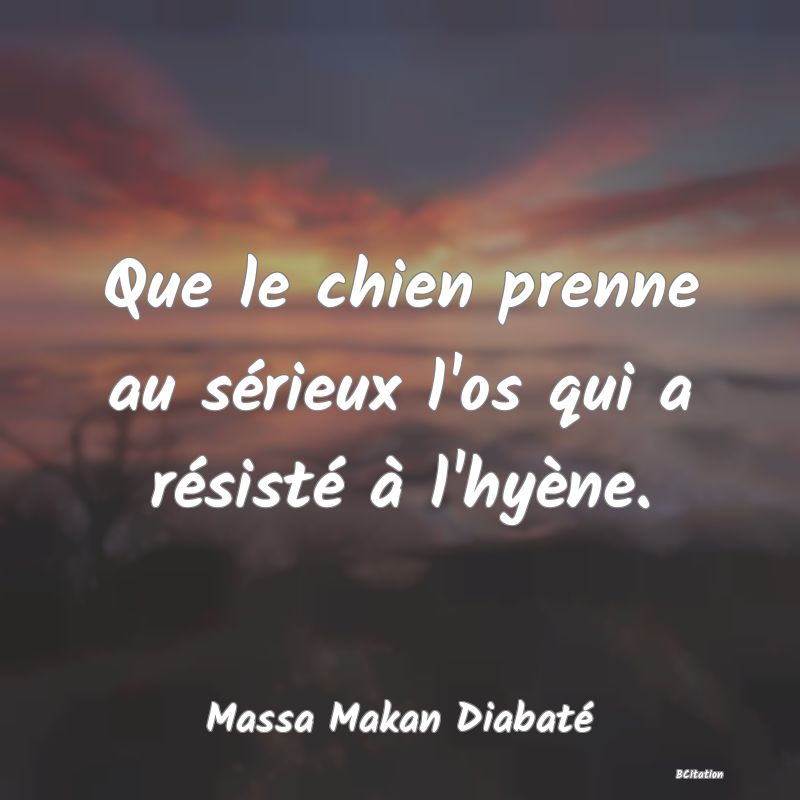 image de citation: Que le chien prenne au sérieux l'os qui a résisté à l'hyène.