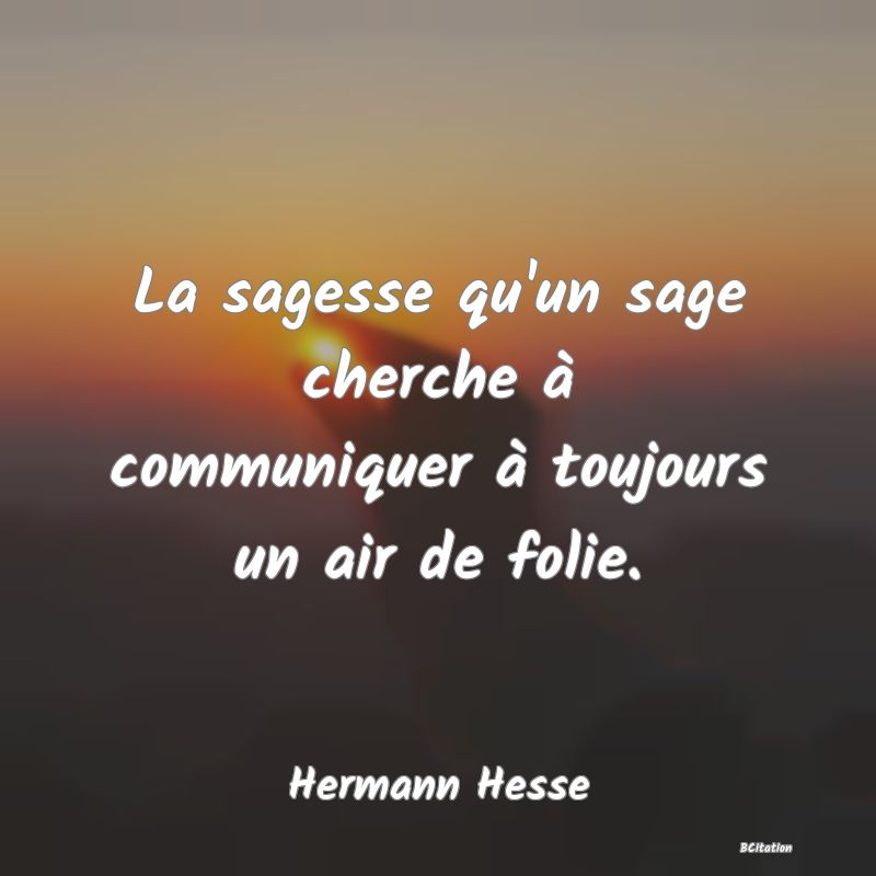 image de citation: La sagesse qu'un sage cherche à communiquer à toujours un air de folie.