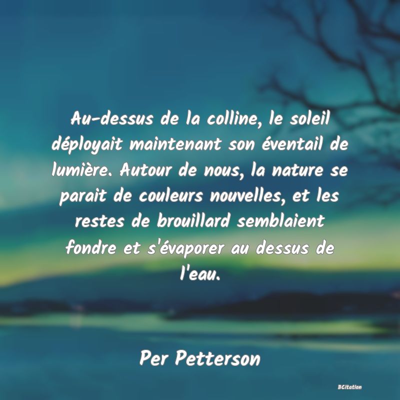 image de citation: Au-dessus de la colline, le soleil déployait maintenant son éventail de lumière. Autour de nous, la nature se parait de couleurs nouvelles, et les restes de brouillard semblaient fondre et s'évaporer au dessus de l'eau.
