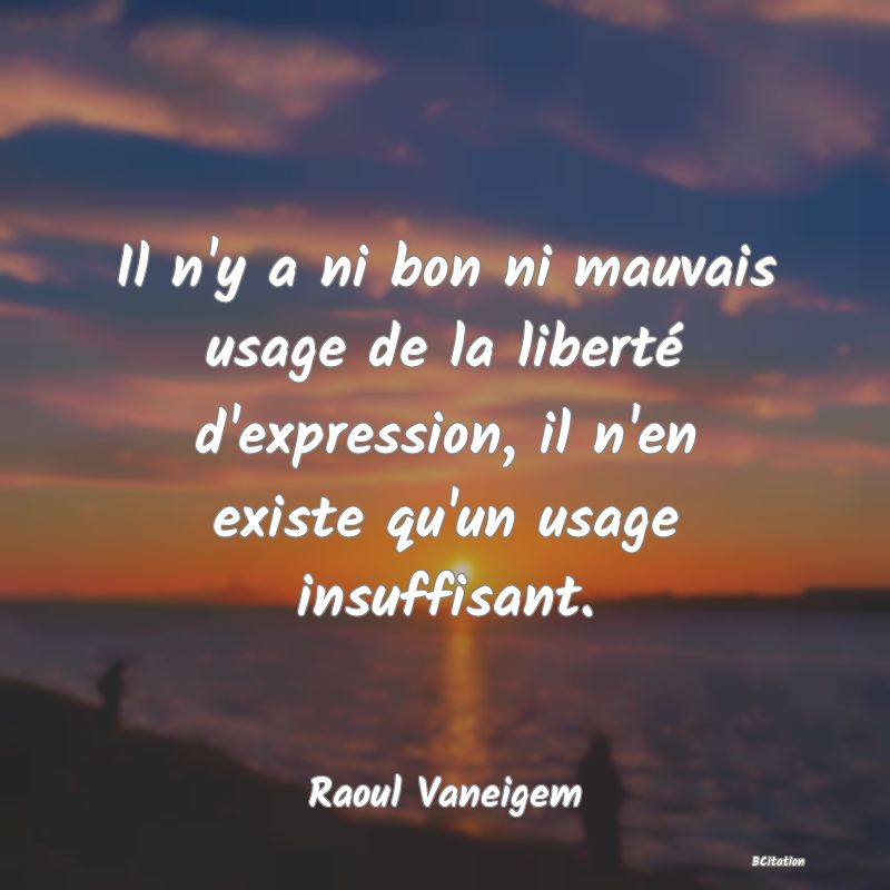 image de citation: Il n'y a ni bon ni mauvais usage de la liberté d'expression, il n'en existe qu'un usage insuffisant.