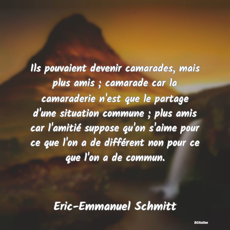 image de citation: Ils pouvaient devenir camarades, mais plus amis ; camarade car la camaraderie n'est que le partage d'une situation commune ; plus amis car l'amitié suppose qu'on s'aime pour ce que l'on a de différent non pour ce que l'on a de commun.