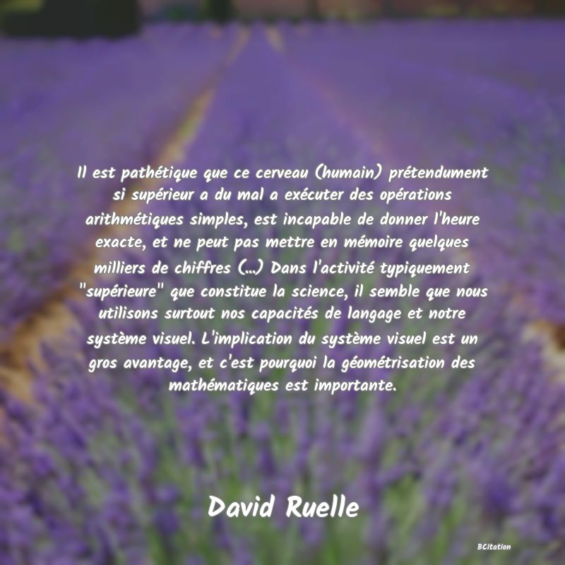 image de citation: Il est pathétique que ce cerveau (humain) prétendument si supérieur a du mal a exécuter des opérations arithmétiques simples, est incapable de donner l'heure exacte, et ne peut pas mettre en mémoire quelques milliers de chiffres (...) Dans l'activité typiquement  supérieure  que constitue la science, il semble que nous utilisons surtout nos capacités de langage et notre système visuel. L'implication du système visuel est un gros avantage, et c'est pourquoi la géométrisation des mathématiques est importante.