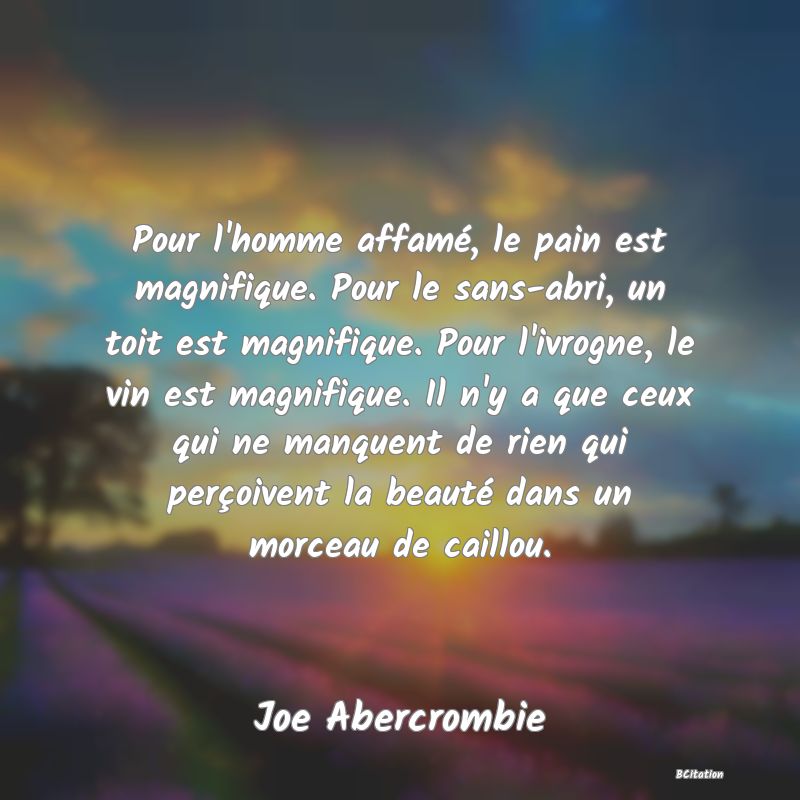 image de citation: Pour l'homme affamé, le pain est magnifique. Pour le sans-abri, un toit est magnifique. Pour l'ivrogne, le vin est magnifique. Il n'y a que ceux qui ne manquent de rien qui perçoivent la beauté dans un morceau de caillou.