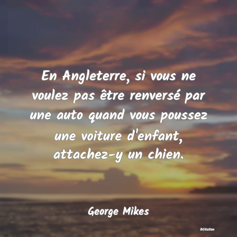 image de citation: En Angleterre, si vous ne voulez pas être renversé par une auto quand vous poussez une voiture d'enfant, attachez-y un chien.