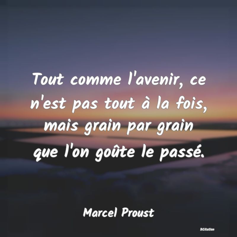 image de citation: Tout comme l'avenir, ce n'est pas tout à la fois, mais grain par grain que l'on goûte le passé.