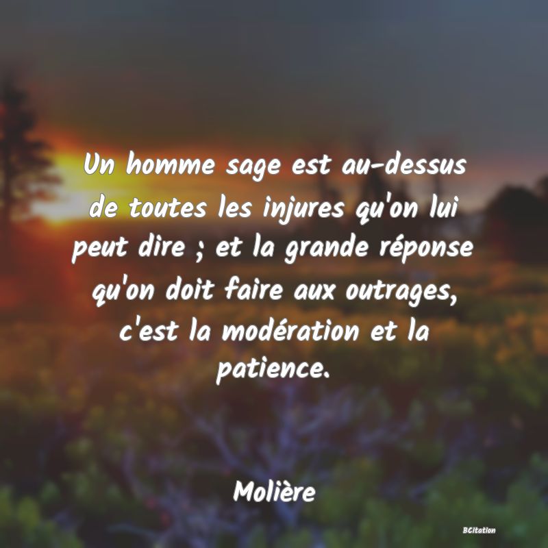 image de citation: Un homme sage est au-dessus de toutes les injures qu'on lui peut dire ; et la grande réponse qu'on doit faire aux outrages, c'est la modération et la patience.