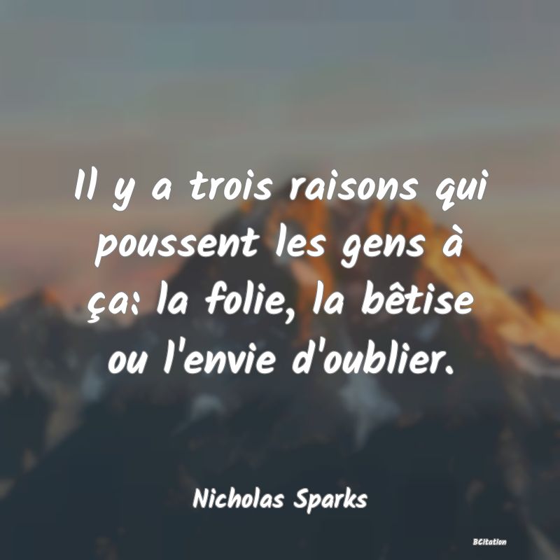 image de citation: Il y a trois raisons qui poussent les gens à ça: la folie, la bêtise ou l'envie d'oublier.