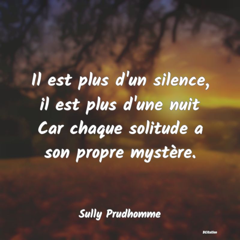 image de citation: Il est plus d'un silence, il est plus d'une nuit Car chaque solitude a son propre mystère.