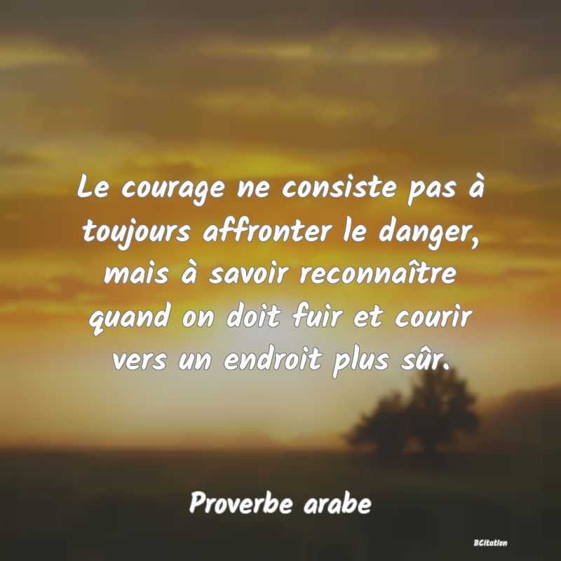 image de citation: Le courage ne consiste pas à toujours affronter le danger, mais à savoir reconnaître quand on doit fuir et courir vers un endroit plus sûr.