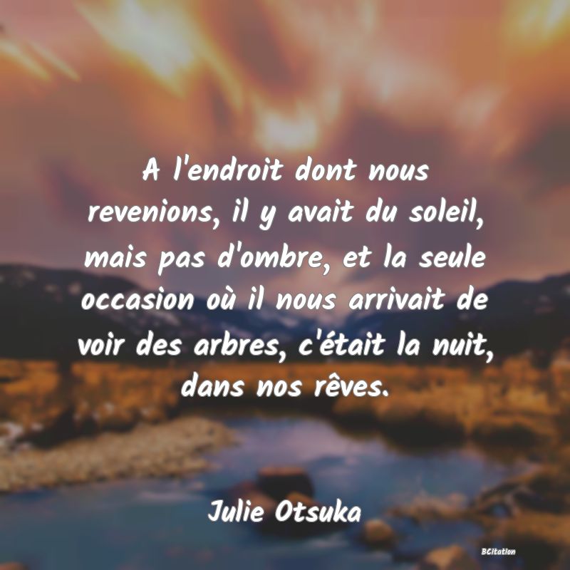 Belle Citation - A l'endroit dont nous revenions, il y avait du soleil, mais pas d'ombre, et la seule occasion où il nous arrivait de voir des arbres, c'était la nuit, dans nos rêves. - Julie Otsuka