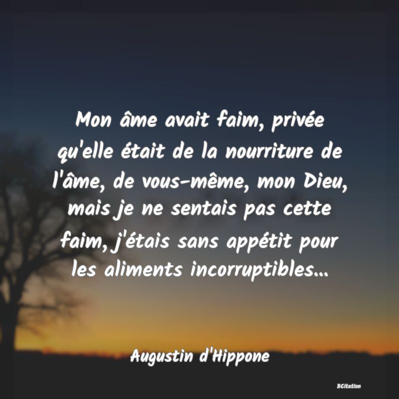 Belle Citation - Mon âme avait faim, privée qu'elle était de la nourriture de l'âme, de vous-même, mon Dieu, mais je ne sentais pas cette faim, j'étais sans appétit pour les aliments incorruptibles... - Augustin d'Hippone