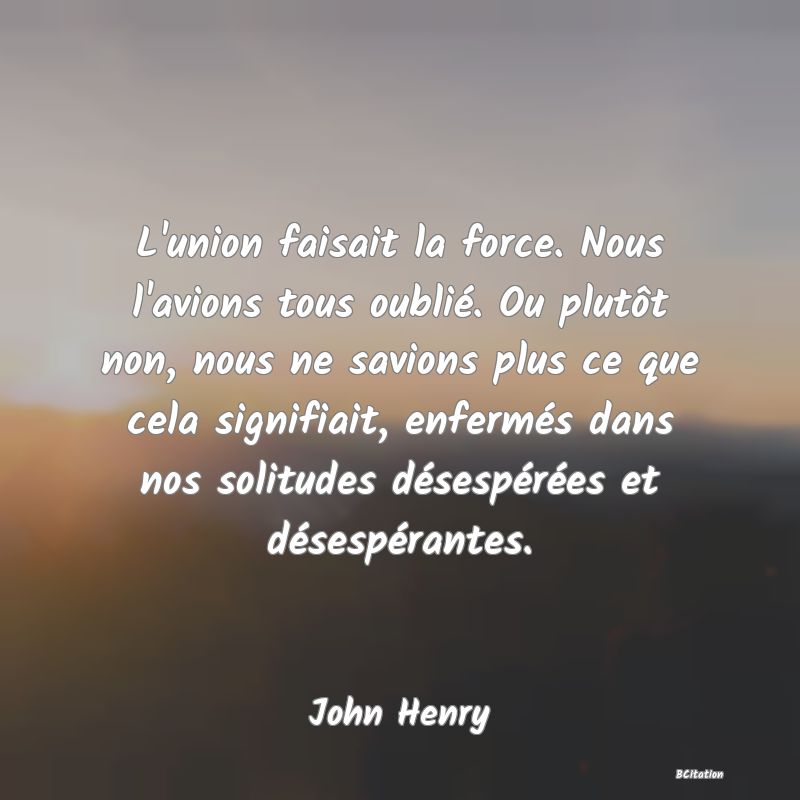 image de citation: L'union faisait la force. Nous l'avions tous oublié. Ou plutôt non, nous ne savions plus ce que cela signifiait, enfermés dans nos solitudes désespérées et désespérantes.