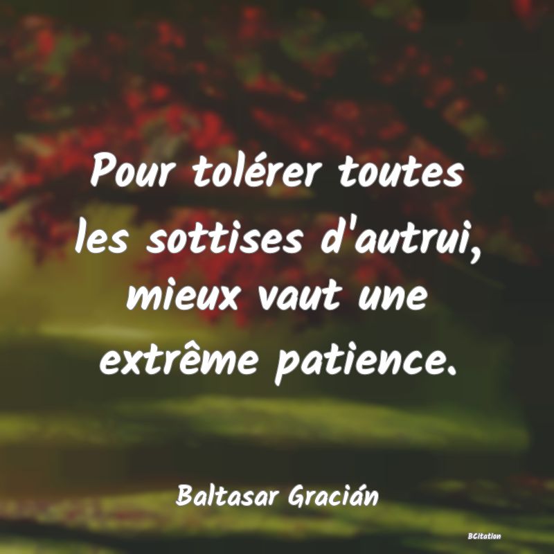 image de citation: Pour tolérer toutes les sottises d'autrui, mieux vaut une extrême patience.