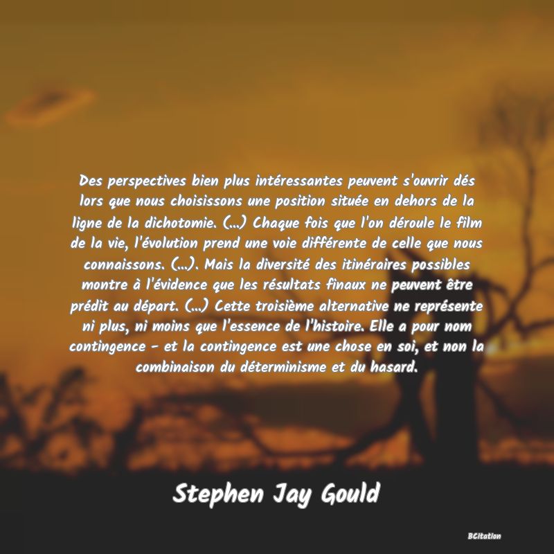 image de citation: Des perspectives bien plus intéressantes peuvent s'ouvrir dés lors que nous choisissons une position située en dehors de la ligne de la dichotomie. (...) Chaque fois que l'on déroule le film de la vie, l'évolution prend une voie différente de celle que nous connaissons. (...). Mais la diversité des itinéraires possibles montre à l'évidence que les résultats finaux ne peuvent être prédit au départ. (...) Cette troisième alternative ne représente ni plus, ni moins que l'essence de l'histoire. Elle a pour nom contingence - et la contingence est une chose en soi, et non la combinaison du déterminisme et du hasard.