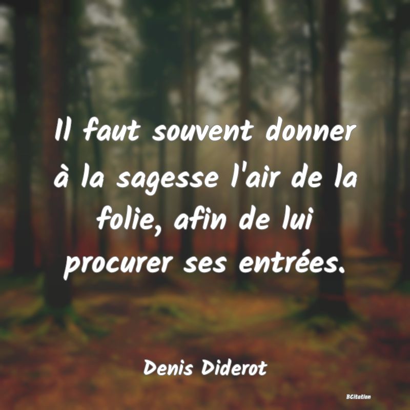 image de citation: Il faut souvent donner à la sagesse l'air de la folie, afin de lui procurer ses entrées.