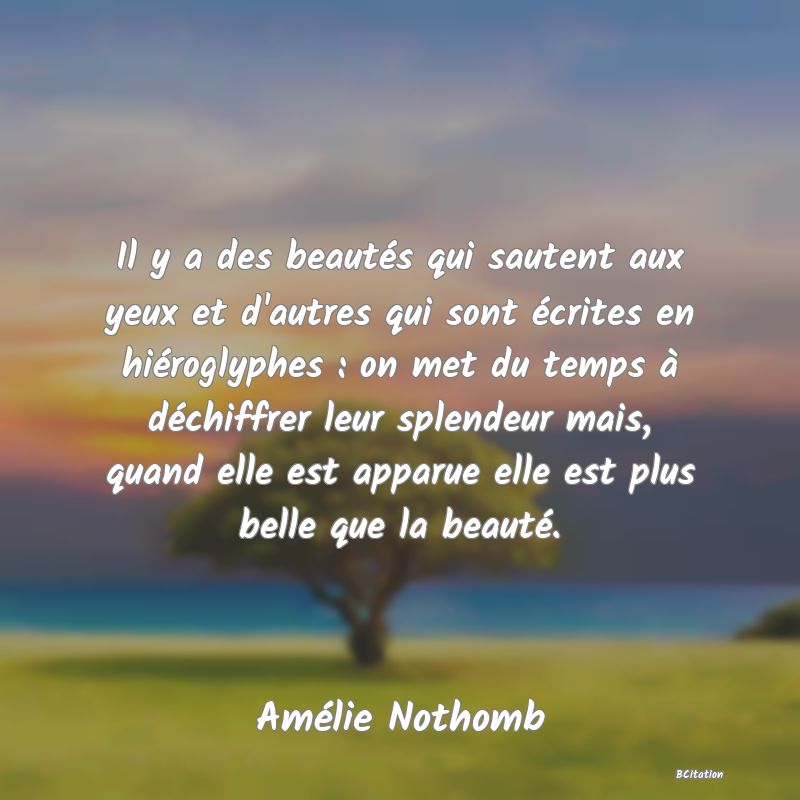 image de citation: Il y a des beautés qui sautent aux yeux et d'autres qui sont écrites en hiéroglyphes : on met du temps à déchiffrer leur splendeur mais, quand elle est apparue elle est plus belle que la beauté.