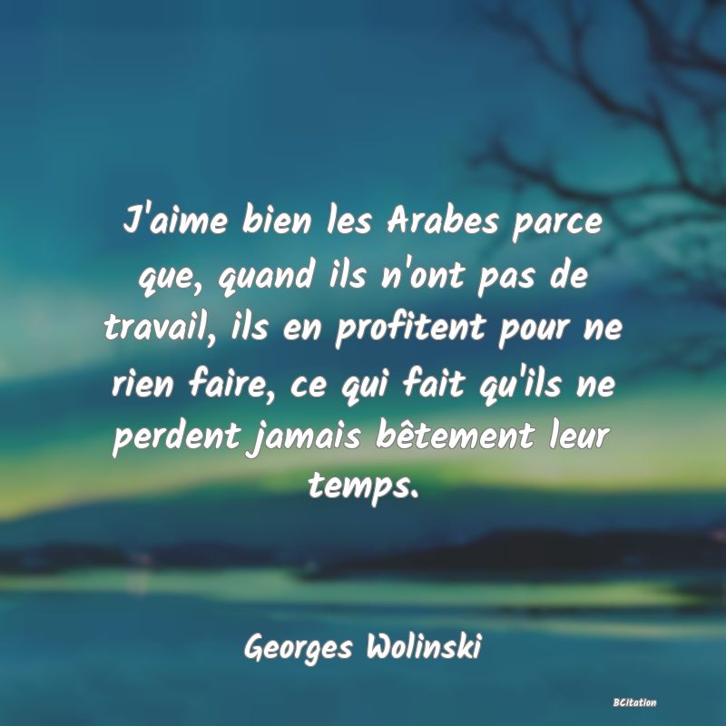 image de citation: J'aime bien les Arabes parce que, quand ils n'ont pas de travail, ils en profitent pour ne rien faire, ce qui fait qu'ils ne perdent jamais bêtement leur temps.