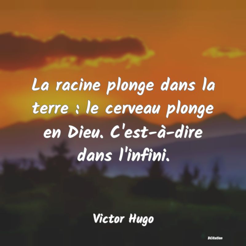 image de citation: La racine plonge dans la terre : le cerveau plonge en Dieu. C'est-à-dire dans l'infini.