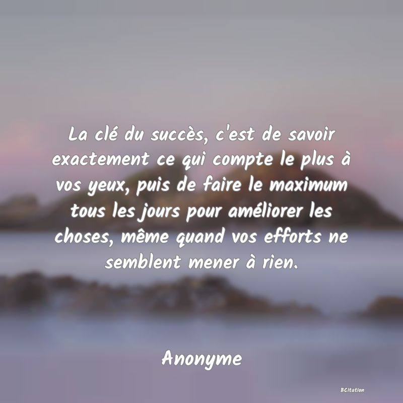 image de citation: La clé du succès, c'est de savoir exactement ce qui compte le plus à vos yeux, puis de faire le maximum tous les jours pour améliorer les choses, même quand vos efforts ne semblent mener à rien.