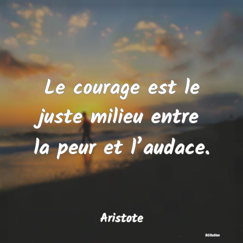image de citation: Le courage est le juste milieu entre la peur et l’audace.