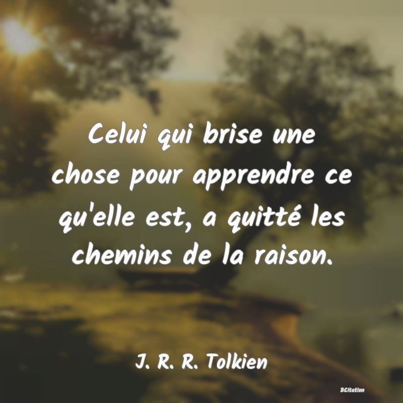 image de citation: Celui qui brise une chose pour apprendre ce qu'elle est, a quitté les chemins de la raison.