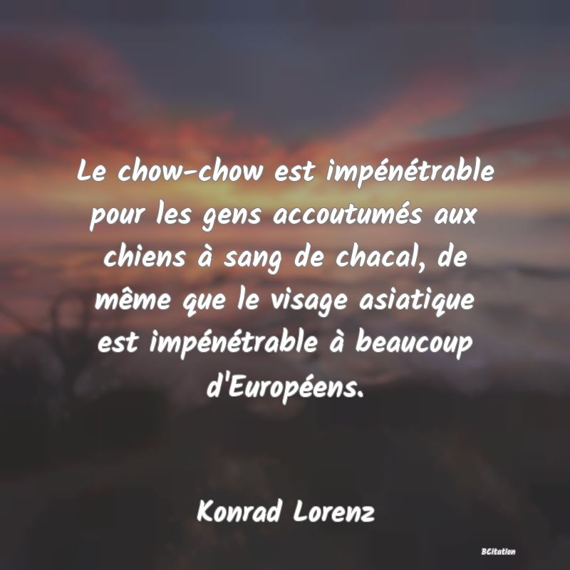 Belle Citation - Le chow-chow est impénétrable pour les gens accoutumés aux chiens à sang de chacal, de même que le visage asiatique est impénétrable à beaucoup d'Européens. - Konrad Lorenz