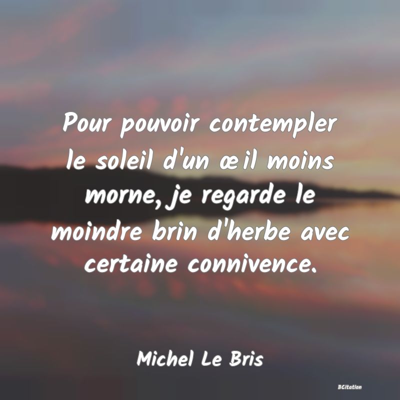 image de citation: Pour pouvoir contempler le soleil d'un œil moins morne, je regarde le moindre brin d'herbe avec certaine connivence.